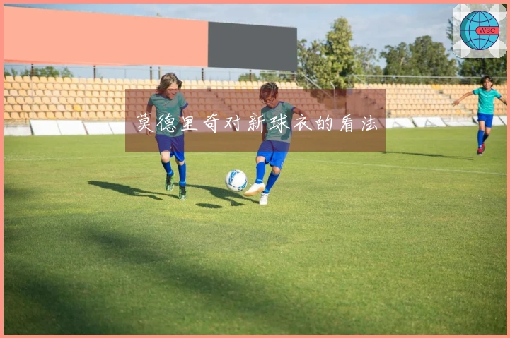 莫德里奇对新球衣的看法