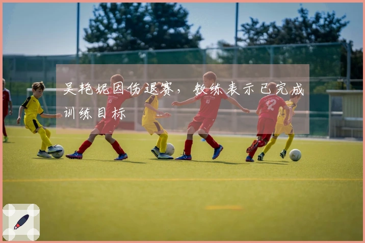 吴艳妮因伤退赛，教练表示已完成训练目标