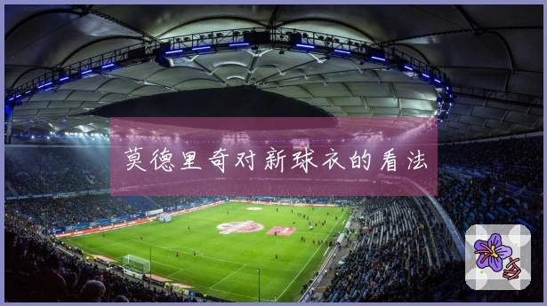 莫德里奇对新球衣的看法