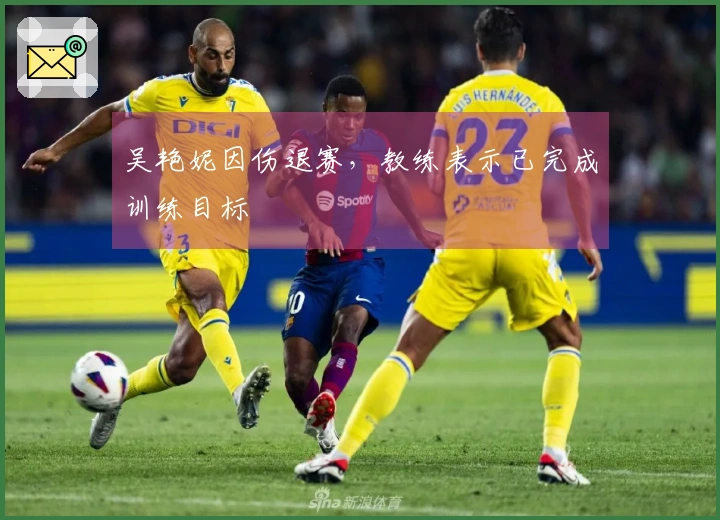 吴艳妮因伤退赛，教练表示已完成训练目标